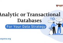 Analytic or Transactional Databases for Your Data Strategy? Analytic or Transactional Databases